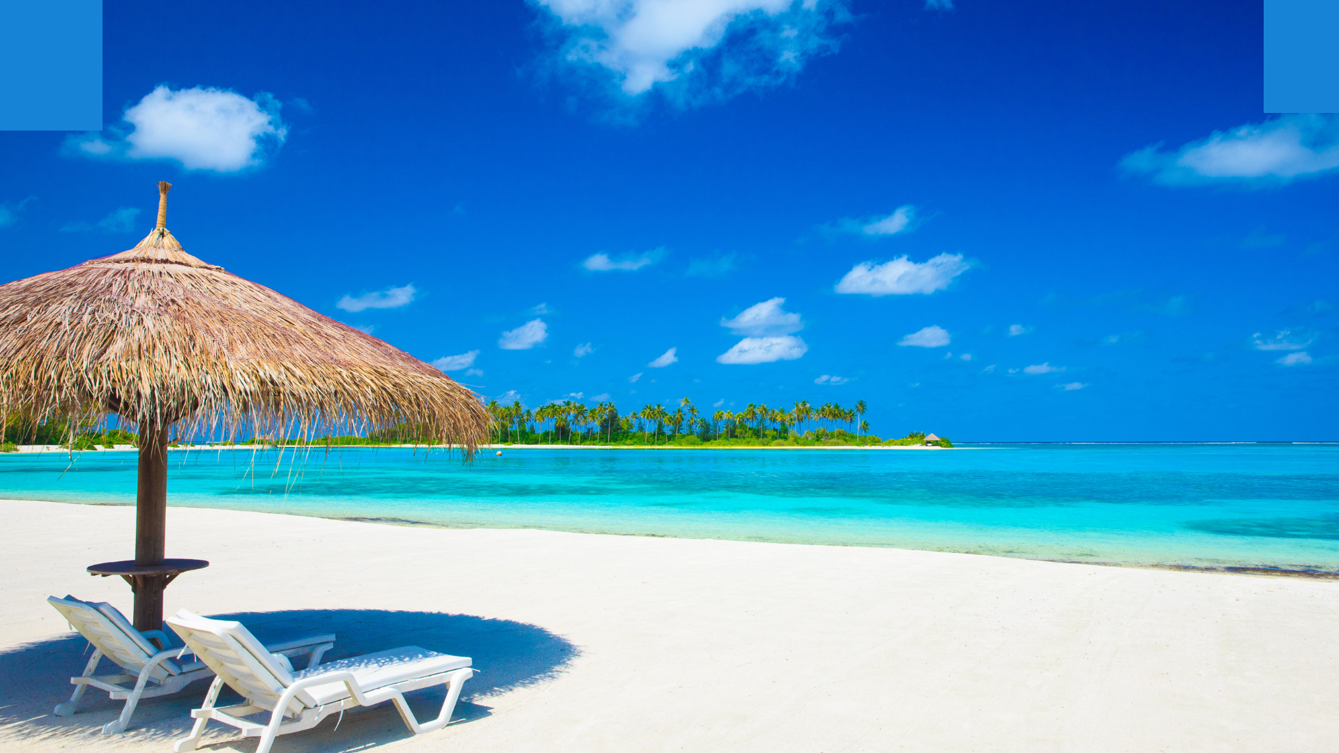 Excursiones de un día desde Punta Cana