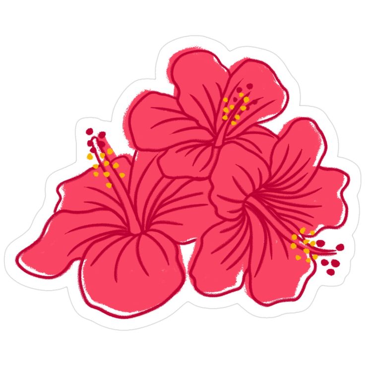 ORIANA QUEZADA QUINONES